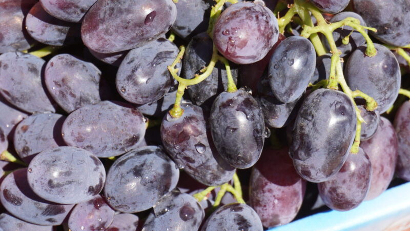 Uva nera